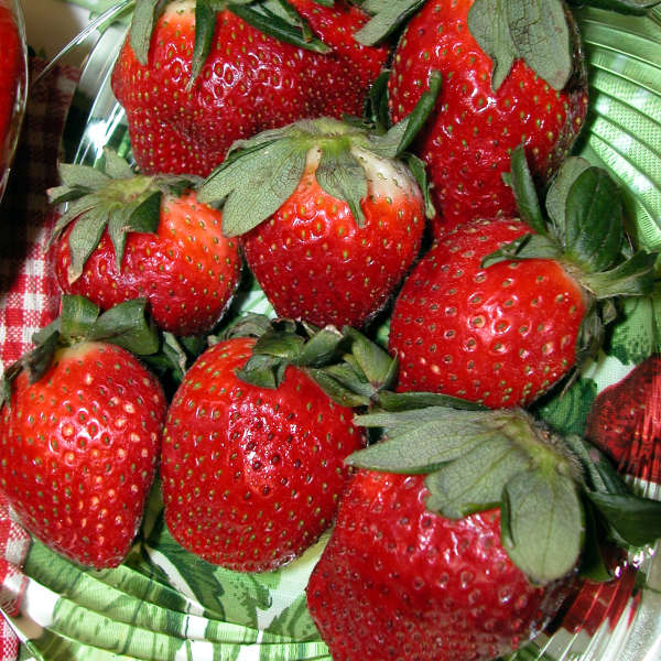 Strawberries 'Ozark Beauty' Everbearing Strawberry