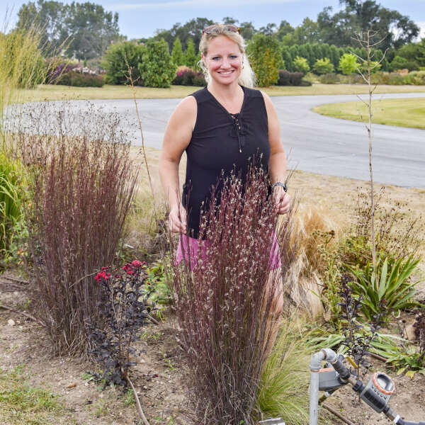 Schizachyrium 'Cinnamon Sticks' Little Bluestem