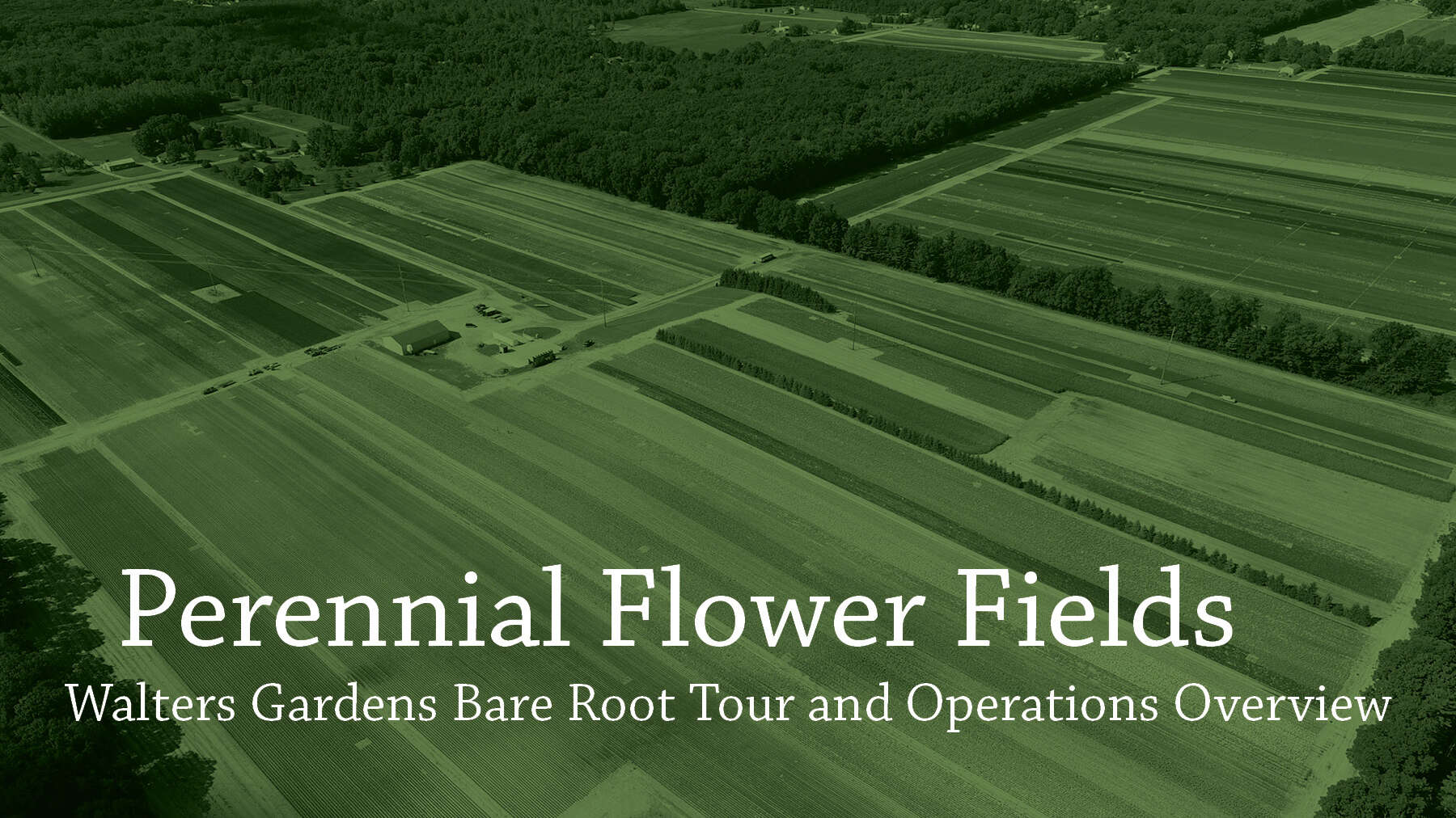 Perennial Flower Fields Tour