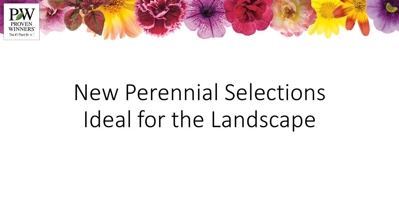 New Perennial Selections Ideal for the Landscape