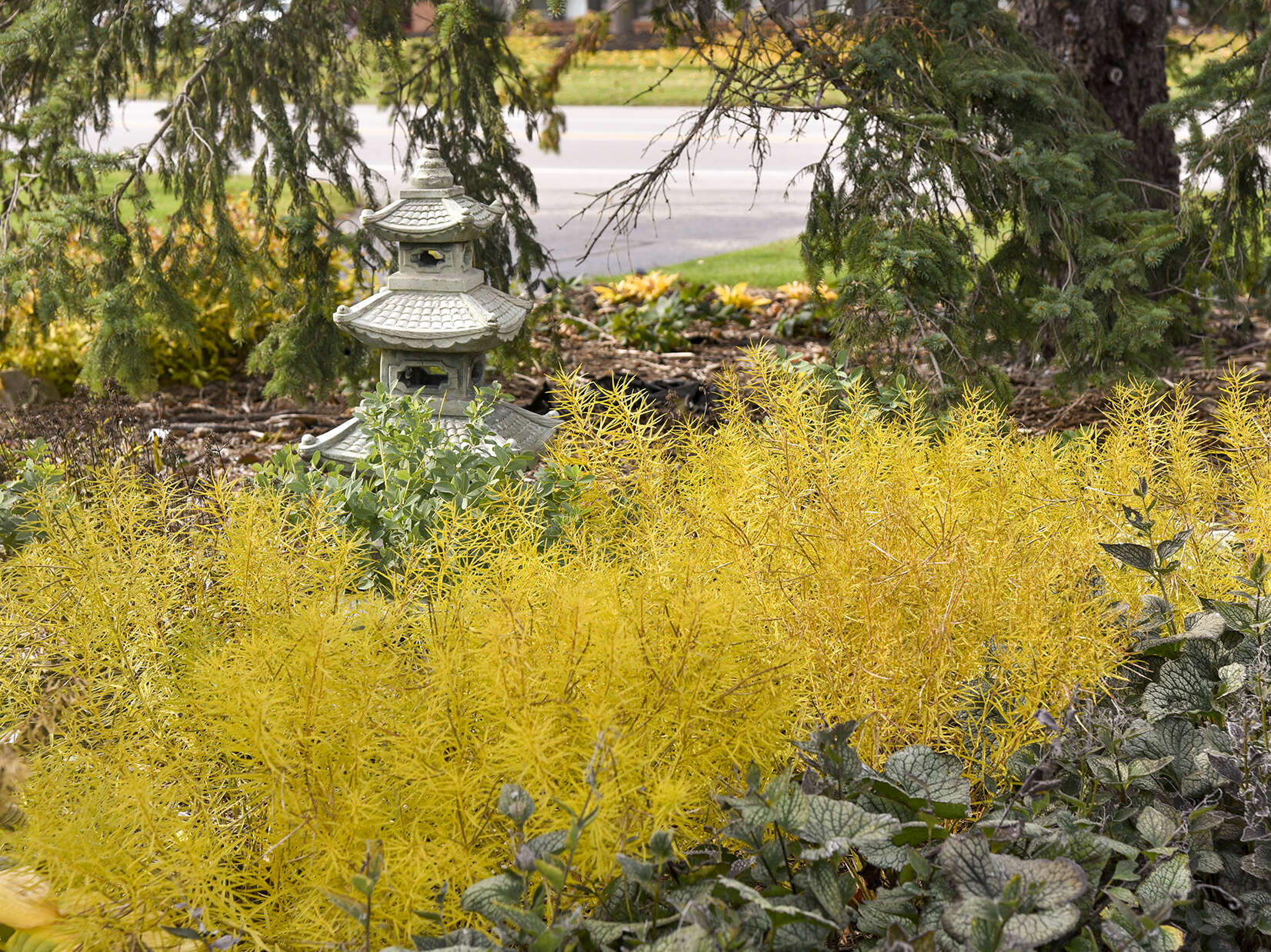 Fall Roots bring Spring Shoots&trade;